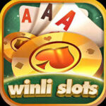 winly slots